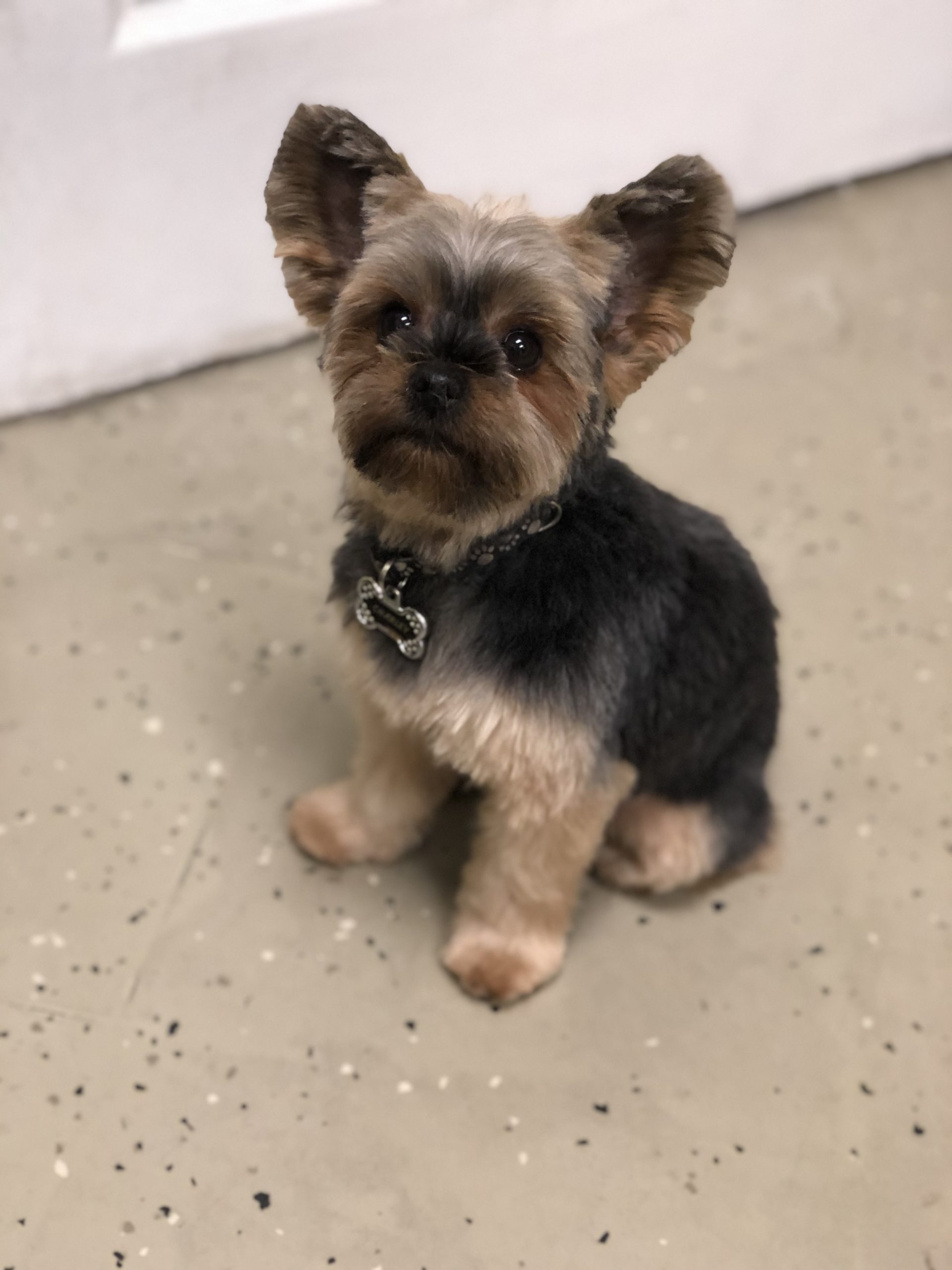 Charley