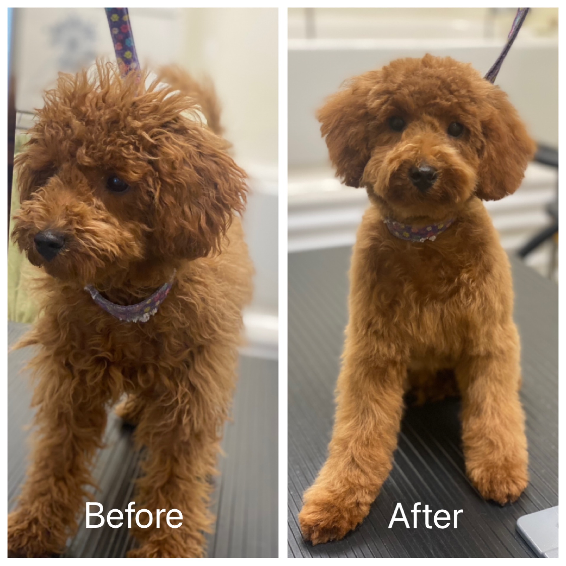 Asker's first groom!