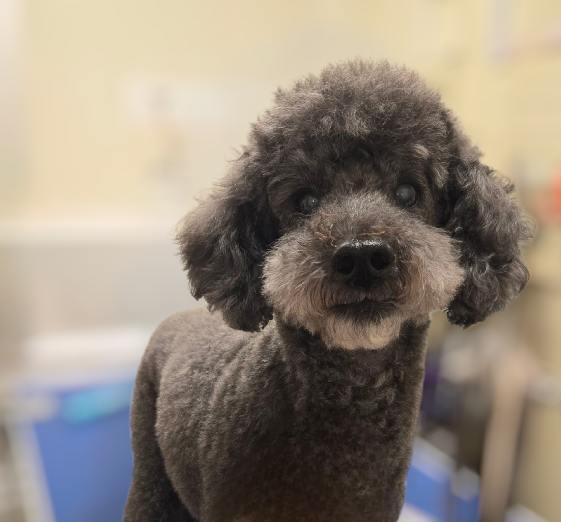 Benny
